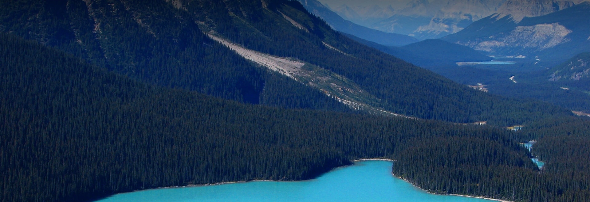 Sustainability-BANNER